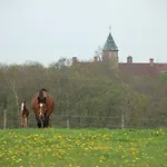 Gjerrild
