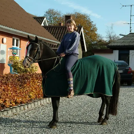 盖里尔库洛酒店